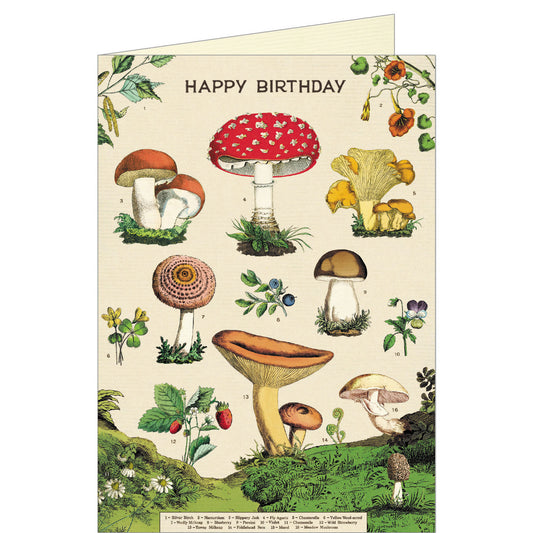 Happy Birthday Mushrooms, Greeting Card