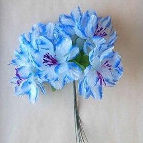 Blue Striated Flower