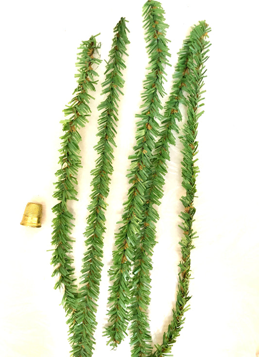 Canadian Pine Stems