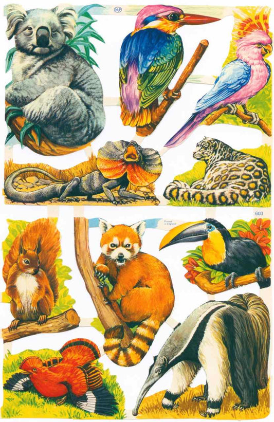 Scrapbook Pictures, Animals.