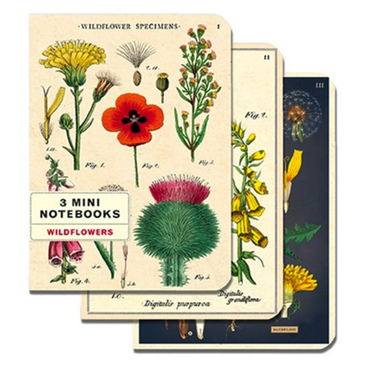 Wildflowers Mini Notebooks Set