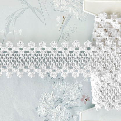    Scallop_Loop_Cluny_Lace