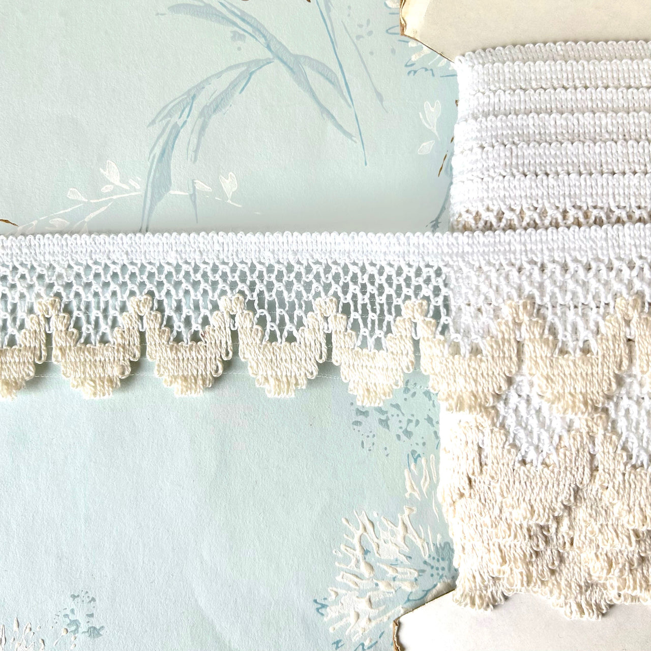    Scalloped_Cluny_Lace