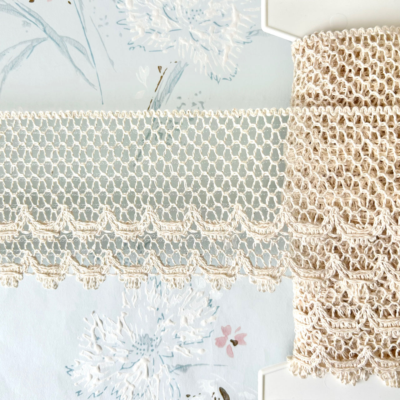     Scalloped_Loop_Cluny_Lace
