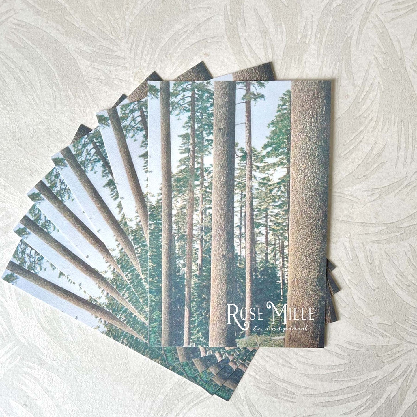 Amazing Sequoias - Layering Cards