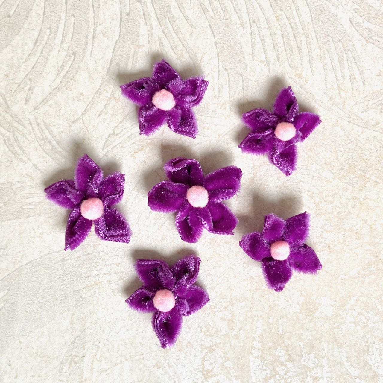 Velvet_Star_Flower_Purple