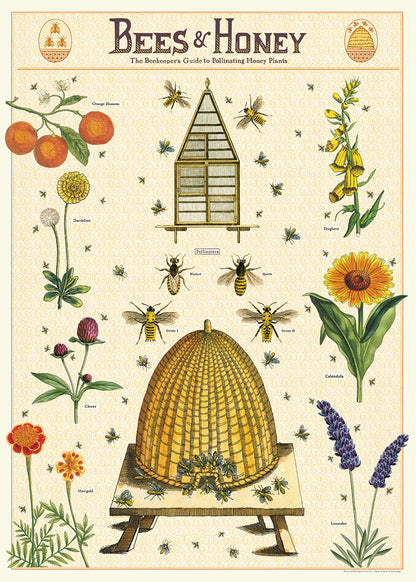 Bees & Honey -  Wrap & Poster