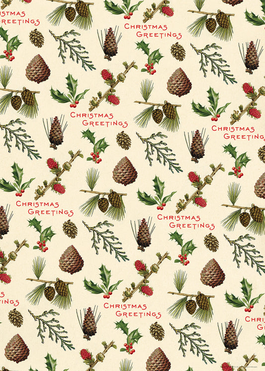 Pine Cones Cavallini Wrap & Poster