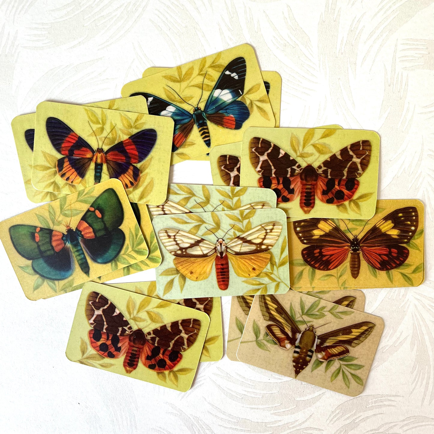 Antique Butterfly Cards